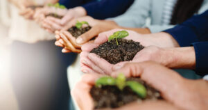 People holding dirt in hands with plant