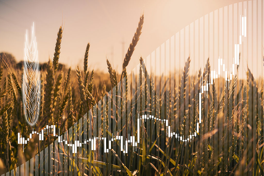 Farming field with graphic above