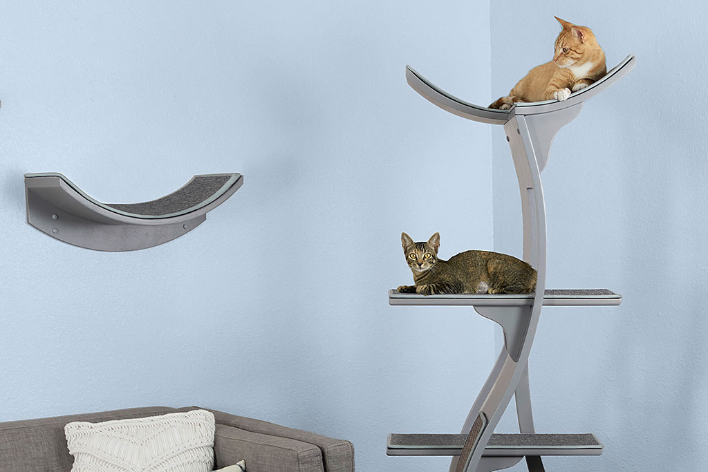 Cat furniture