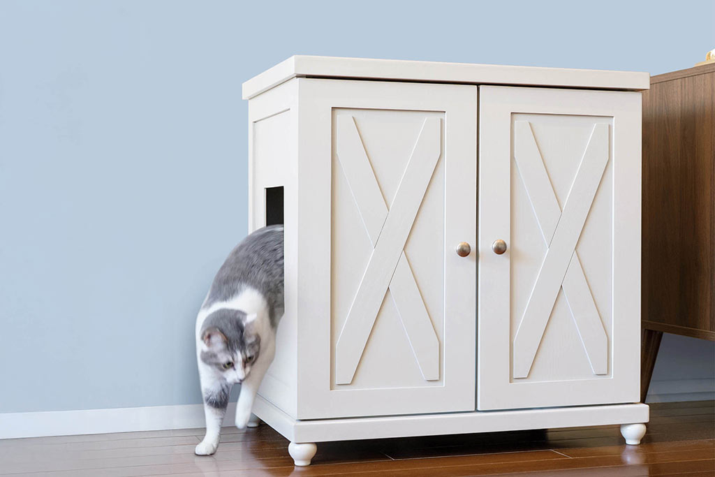 Cat furniture