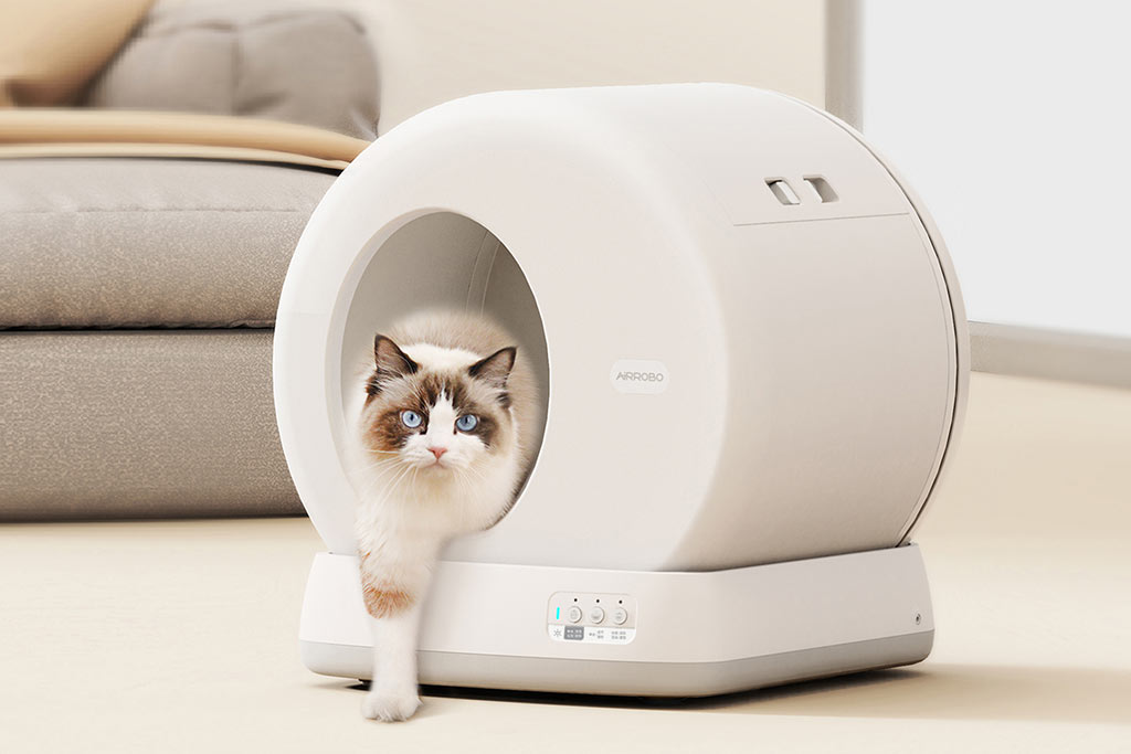 Cat furniture