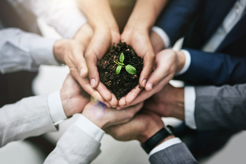 Business people holding dirt and plant